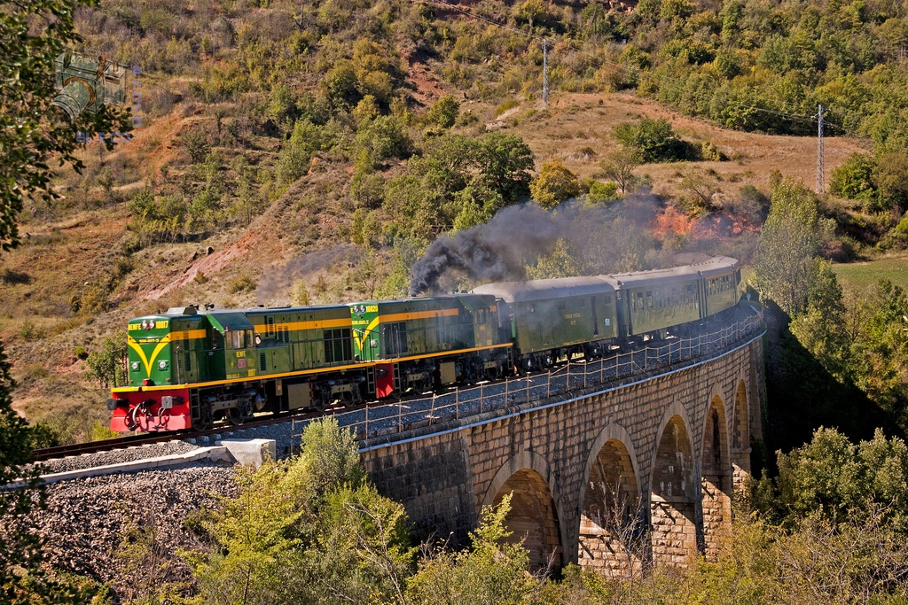 El Tren de los Lagos y su magnífica temporada 2015