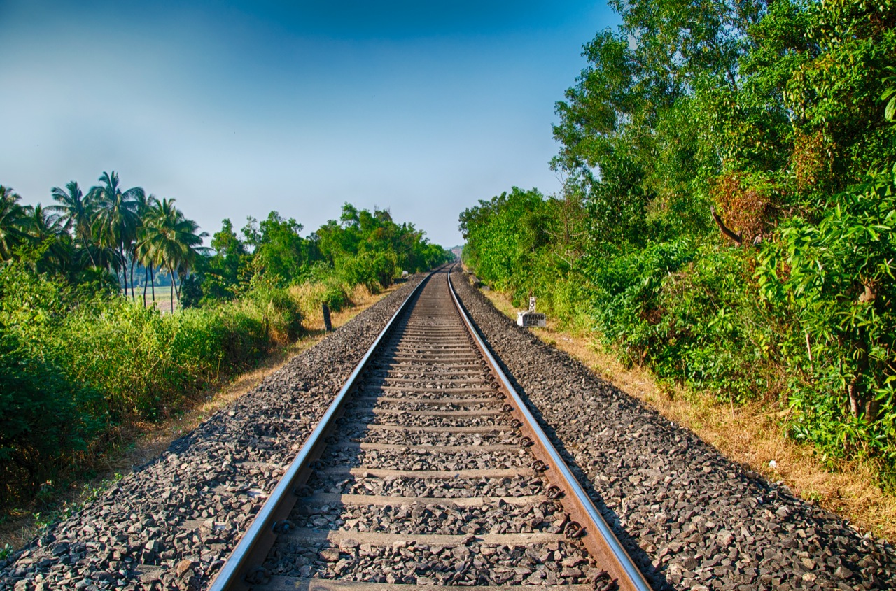 La fragmentación de hábitats y el ferrocarril