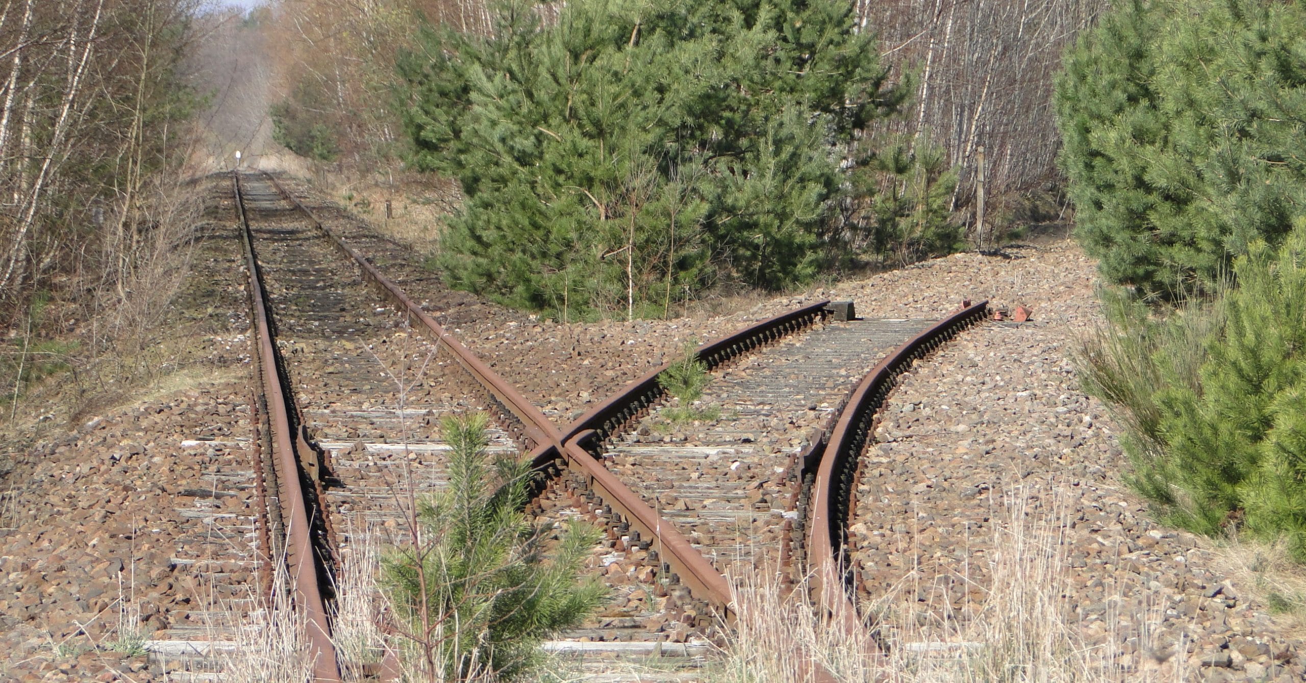 Alemania podría recuperar 4.000 km de ferrocarril para viajeros