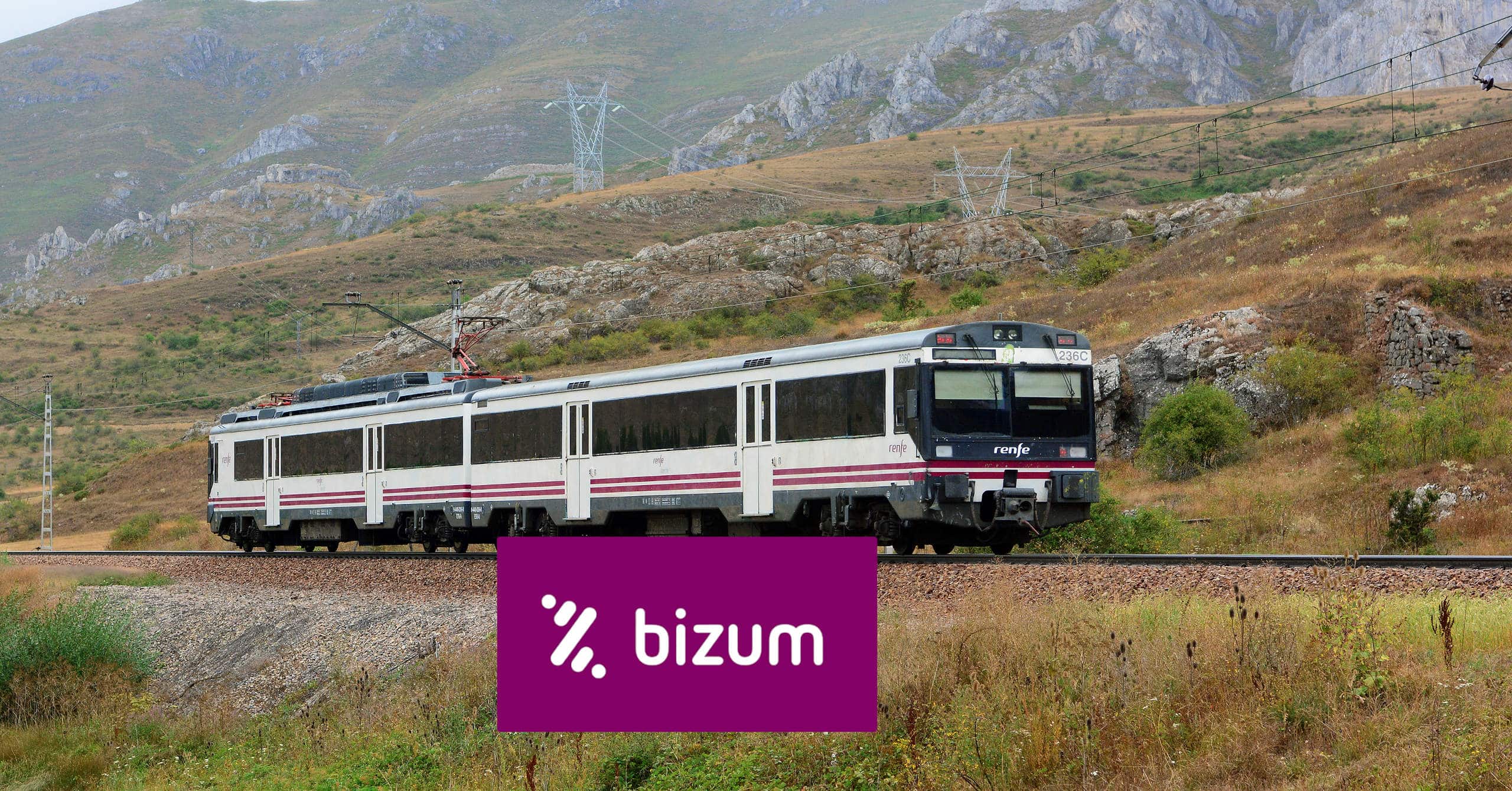 Renfe incorpora Bizum para pagar billetes de tren en la web