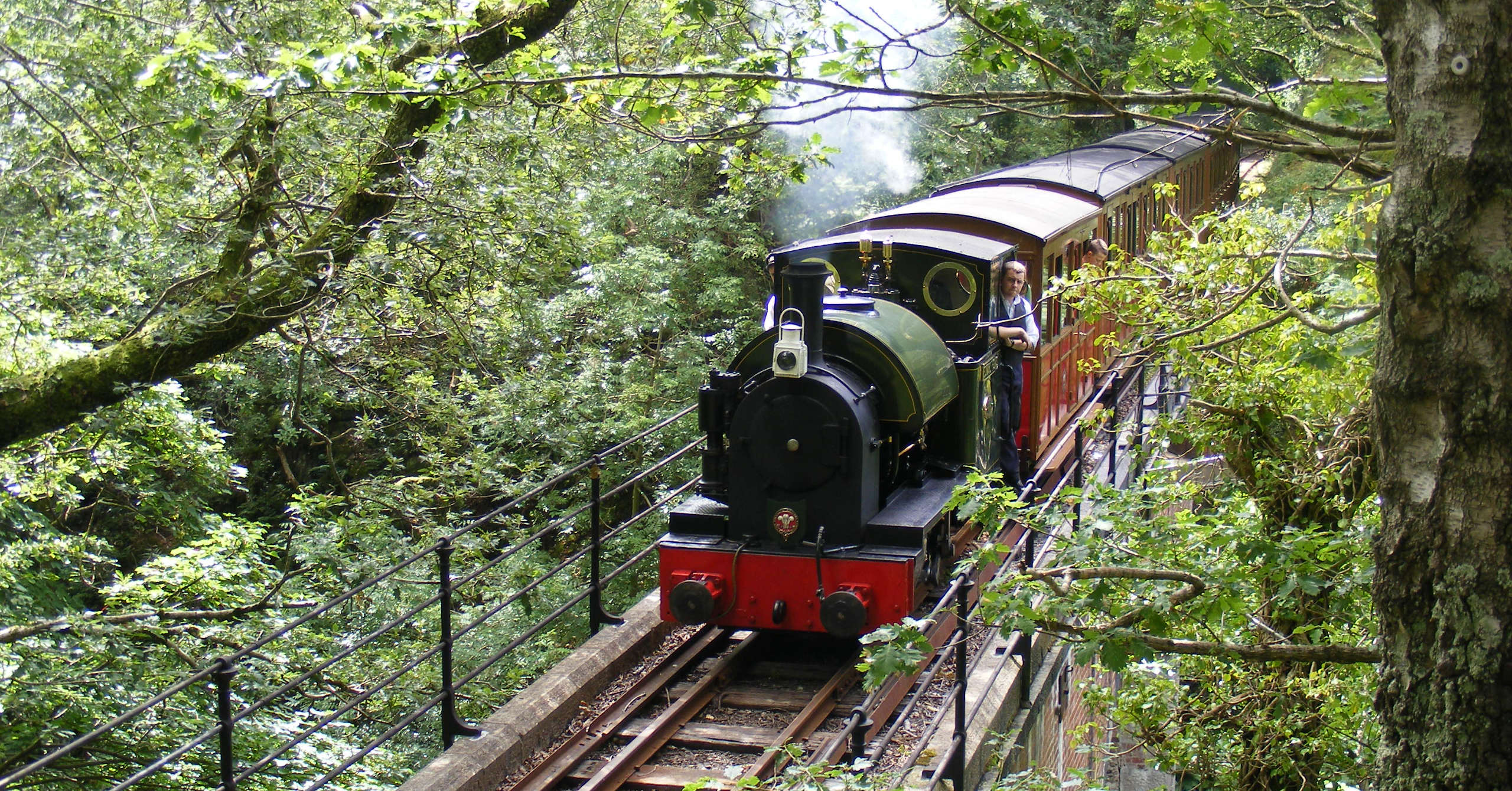 El Talyllyn Railway recupera bosques para compensar sus emisiones